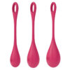Kit d'entraînement pelvien Yoni Power 1 de la marque Satisfyer