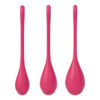 Kit d'entraînement pelvien Yoni Power 1 de la marque Satisfyer