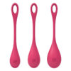 Kit d'entraînement pelvien Yoni Power 1 de la marque Satisfyer