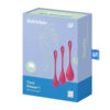 Packaging du kit d'entraînement pelvien Yoni Power 1 de la marque Satisfyer