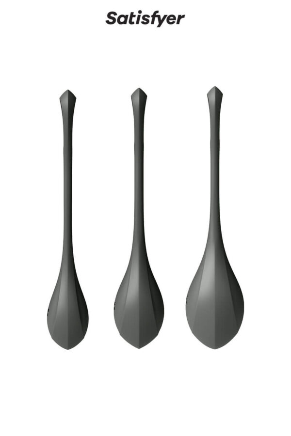 Kit d'entraînement pelvien Yoni Power 2 de la marque Satisfyer
