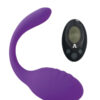 Stimulateur télécommandé féminin smart dream 2 de la marque Adrien Lastic
