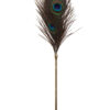 Plumeau à caresses Peacock Tickler de la marque Taboom