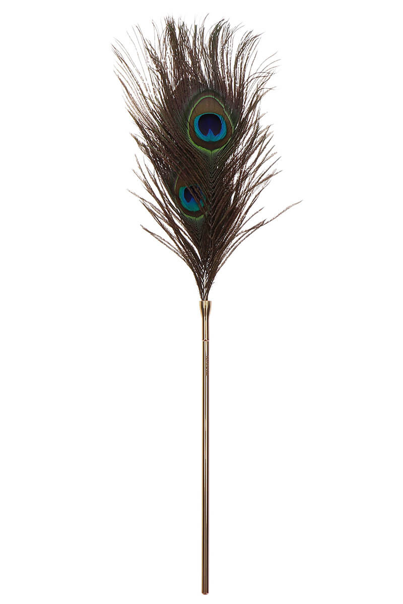 Plumeau à caresses Peacock Tickler de la marque Taboom