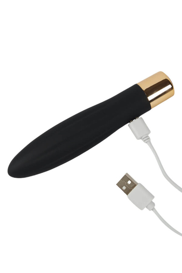 Vibromasseur rechargeable Dakota de la marque Litolu