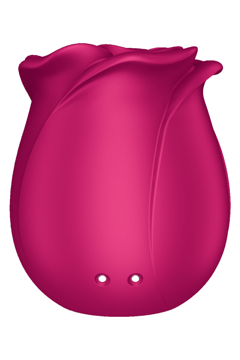 Stimulateur clitoridien en forme de rose Satisfyer Pro 2 Classic Blissom de la marque Satisfyer