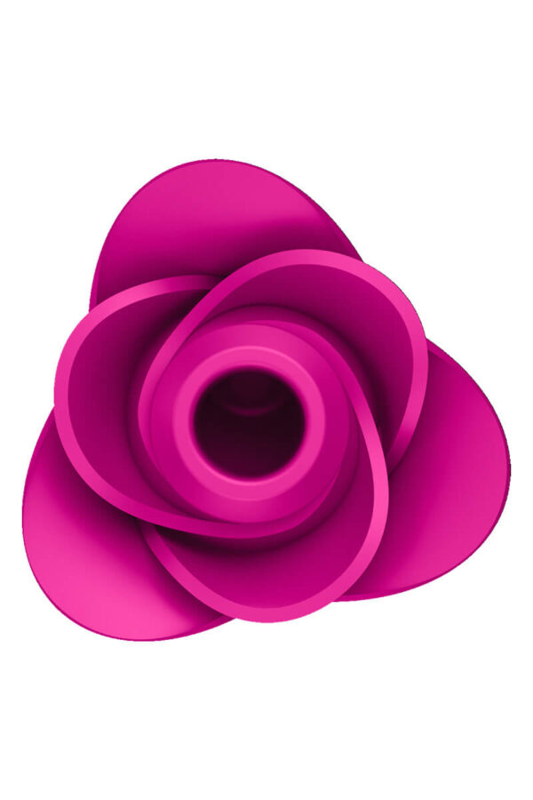 Stimulateur clitoridien en forme de rose épanouie Satisfyer Pro 2 Modern Blissom de la marque Satisfyer