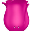 Stimulateur clitoridien en forme de rose épanouie Satisfyer Pro 2 Modern Blissom de la marque Satisfyer