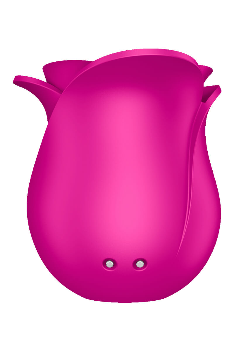 Stimulateur clitoridien en forme de rose épanouie Satisfyer Pro 2 Modern Blissom de la marque Satisfyer